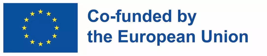 LOGO - Co-funded by the European Union