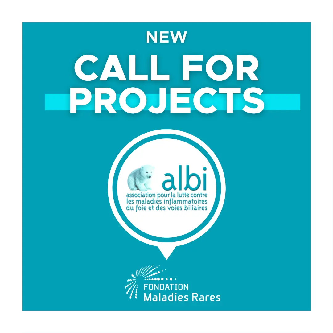 Joint Call for Projects: Albi